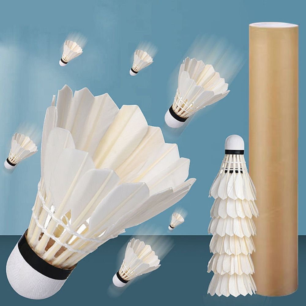 Feather Shuttlecock - 3/6/12 Stück Neue Weiße Badminton-Federbälle Langlebige