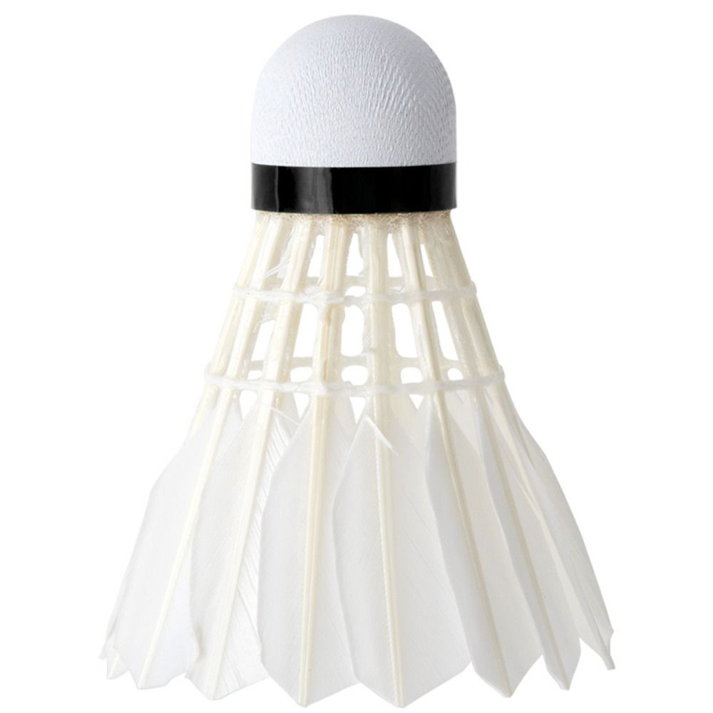 12Pcs Professionelle Weiße Gan – Feather Shuttlecock Bewertung und Preis