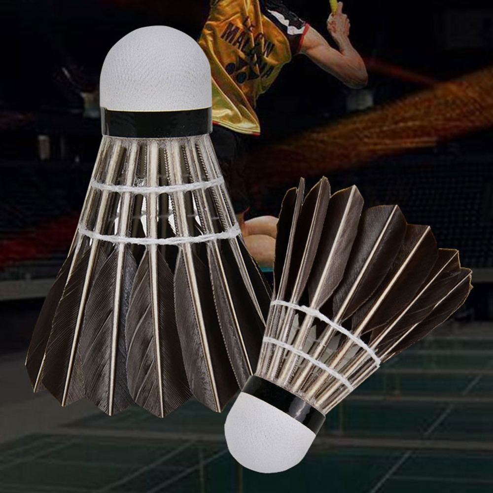 3/6/12 Stück Zubehör Stabile S – Feather Shuttlecock Bewertung und Preis