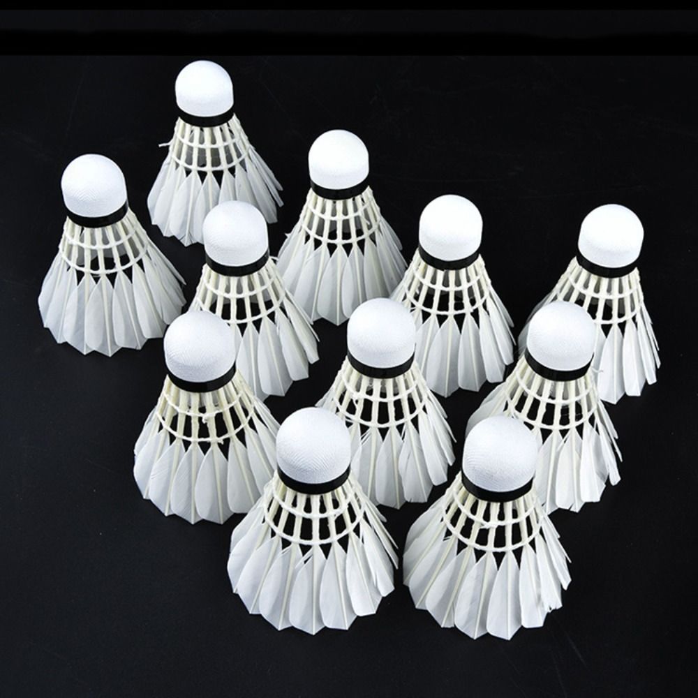 3/6/12 Stück Neue Weiße Badmin – Feather Shuttlecock Bewertung und Preis