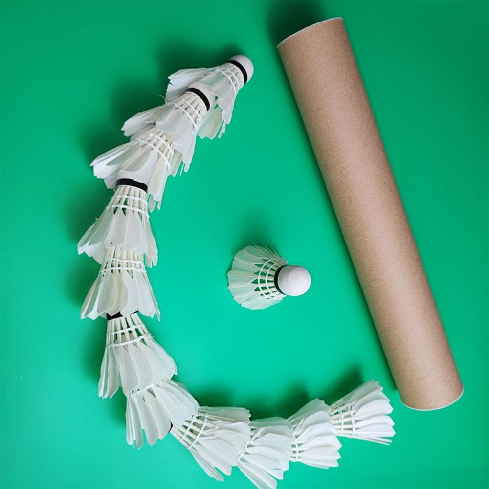 3/6/12 Stück Neue Weiße Badmin – Feather Shuttlecock Bewertung und Preis